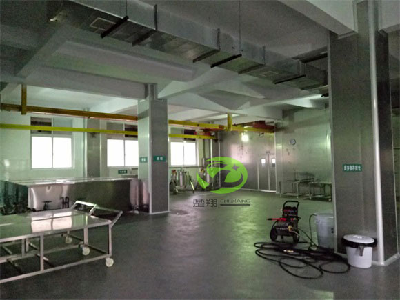郴州福鵝食品羞羞软件下载車間裝修工程(圖9)