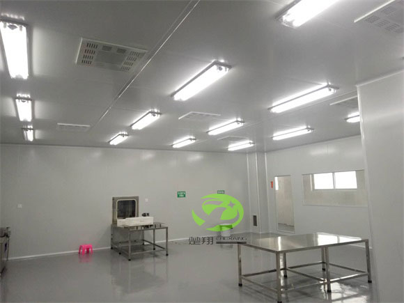 郴州福鵝食品羞羞软件下载車間裝修工程(圖4)