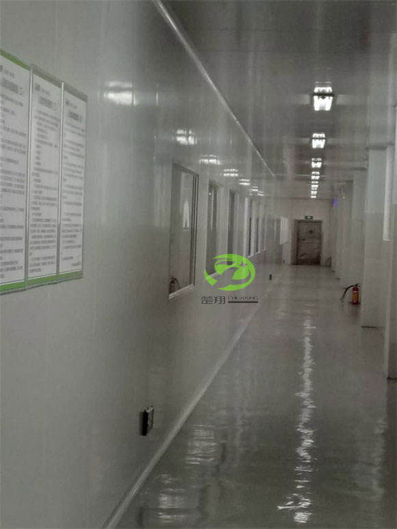 郴州福鵝食品羞羞软件下载車間裝修工程(圖10)